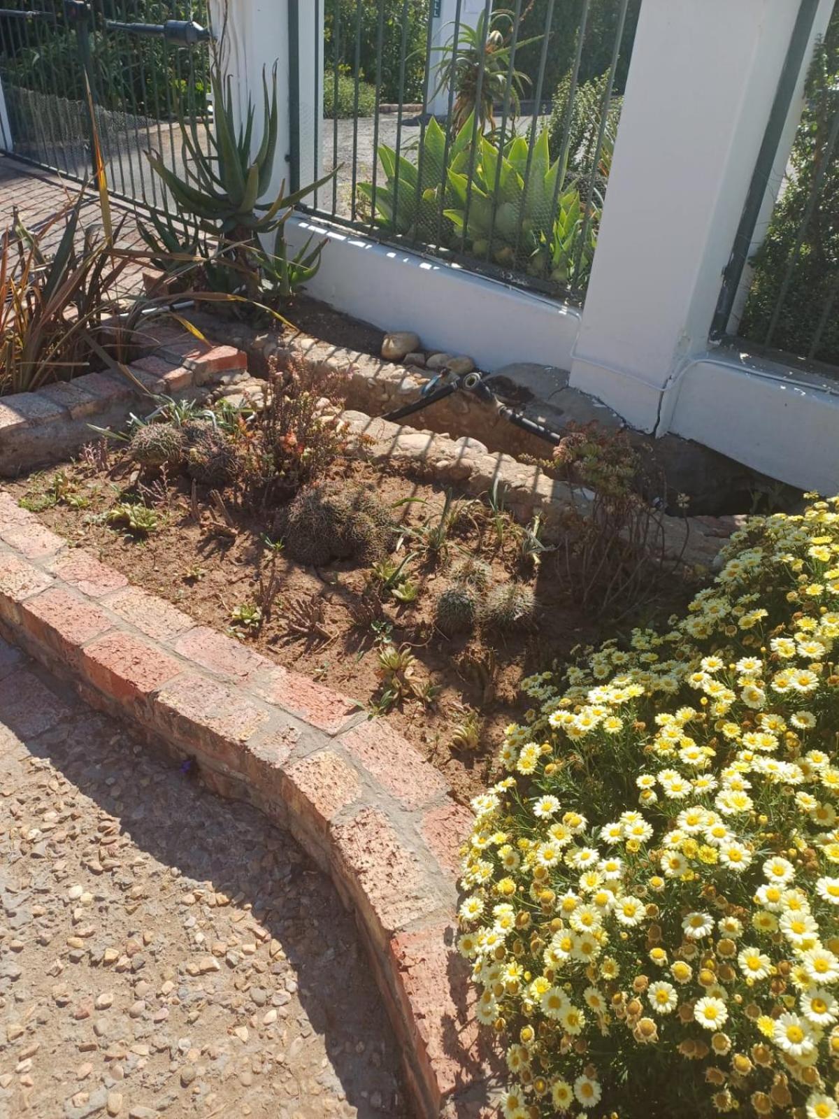 De Oude Yotclub Bed & Breakfast Oudtshoorn Eksteriør bilde